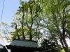 img0006.jpg