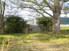 img0014.jpg