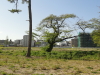 img0018.jpg