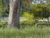 img0019.jpg