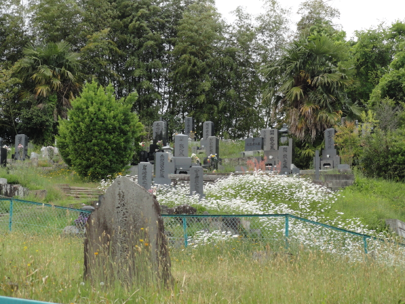 img0007.jpg
