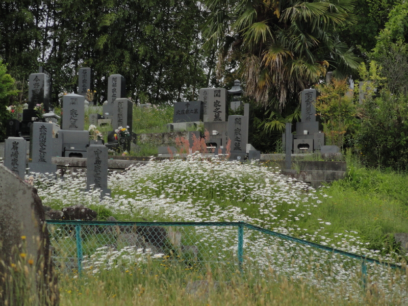 img0008.jpg