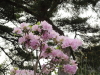 img0006.jpg