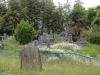 img0007.jpg