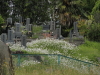 img0008.jpg