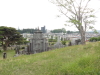 img0010.jpg