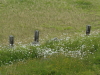 img0022.jpg