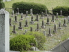 img0025.jpg