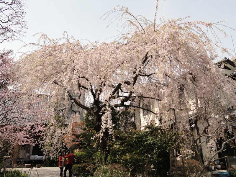 img0002.jpg