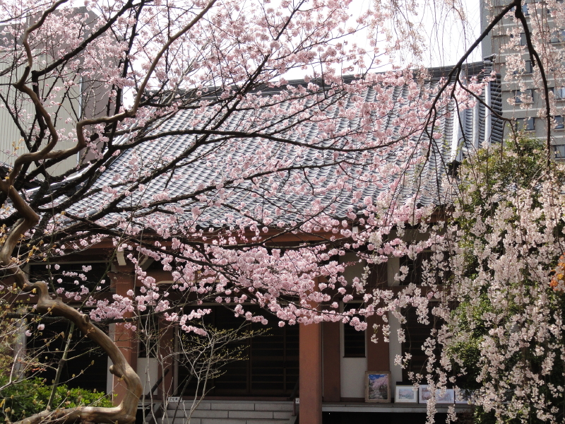 img0003.jpg