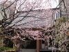 img0003.jpg