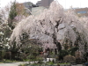 img0013.jpg