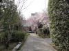 img0000.jpg
