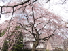 img0006.jpg
