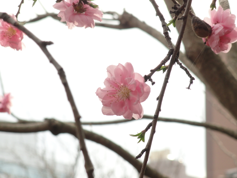 img0004.jpg