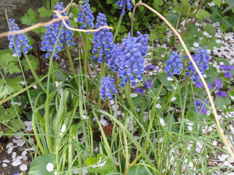 img0021.jpg
