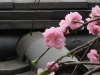 img0006.jpg