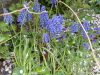 img0021.jpg
