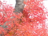 img0005.jpg