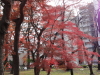 img0020.jpg