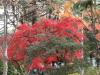 img0022.jpg