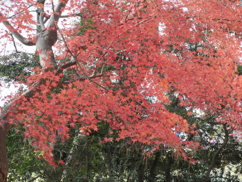 img0018.jpg
