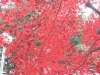 img0021.jpg