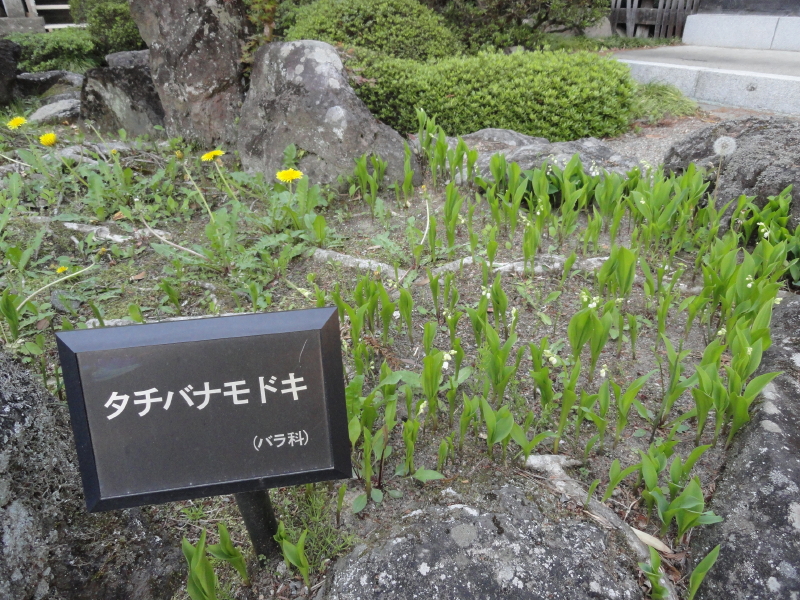 img0017.jpg