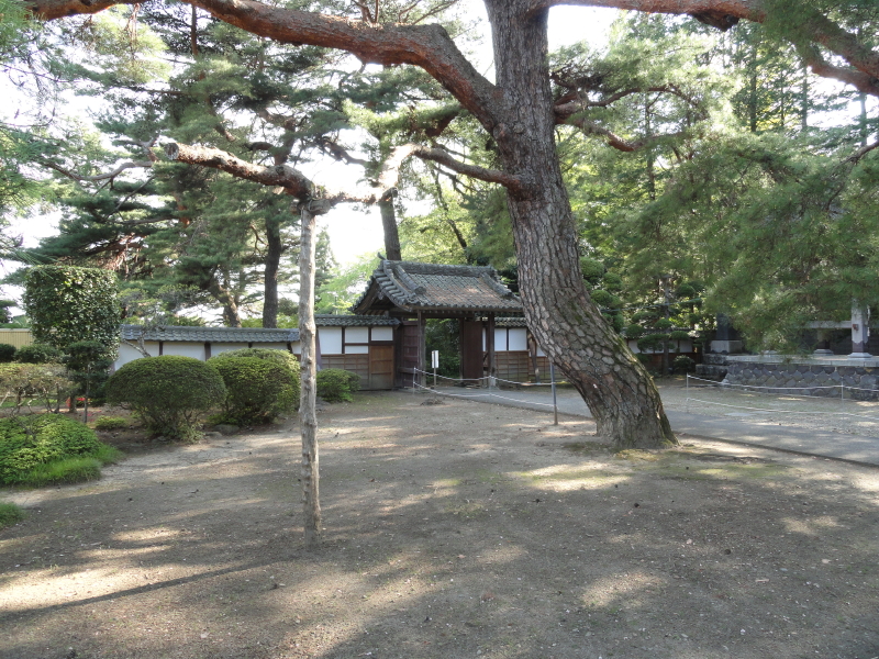 img0018.jpg