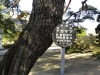 img0009.jpg