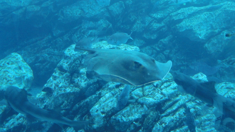 img0005.jpg