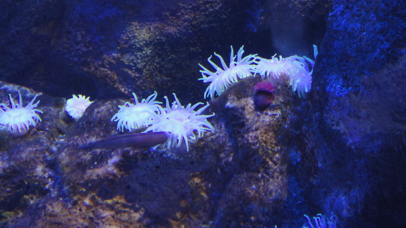 img0007.jpg