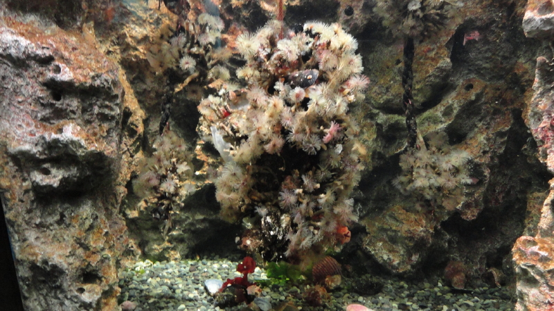 img0008.jpg