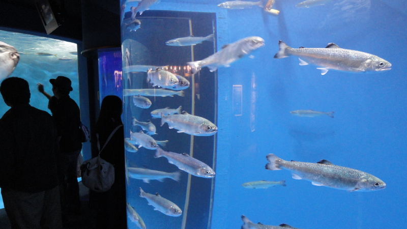 img0010.jpg