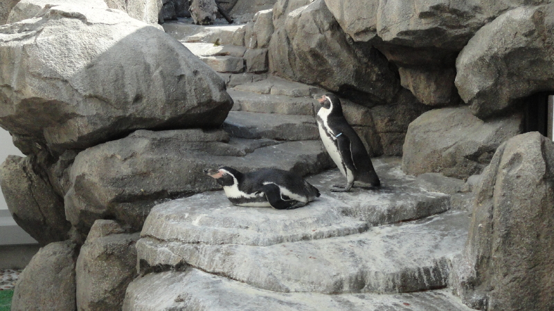 img0012.jpg
