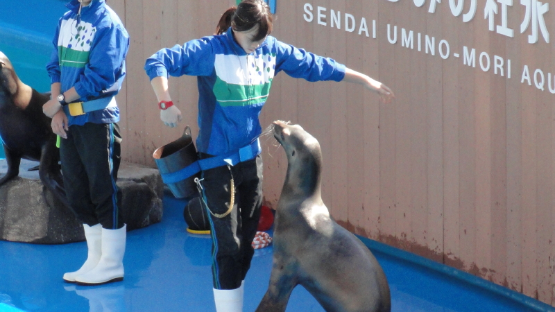 img0015.jpg