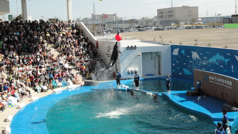 img0023.jpg