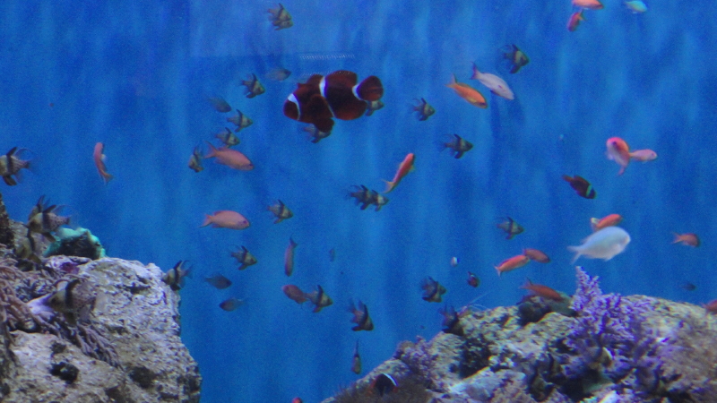 img0031.jpg