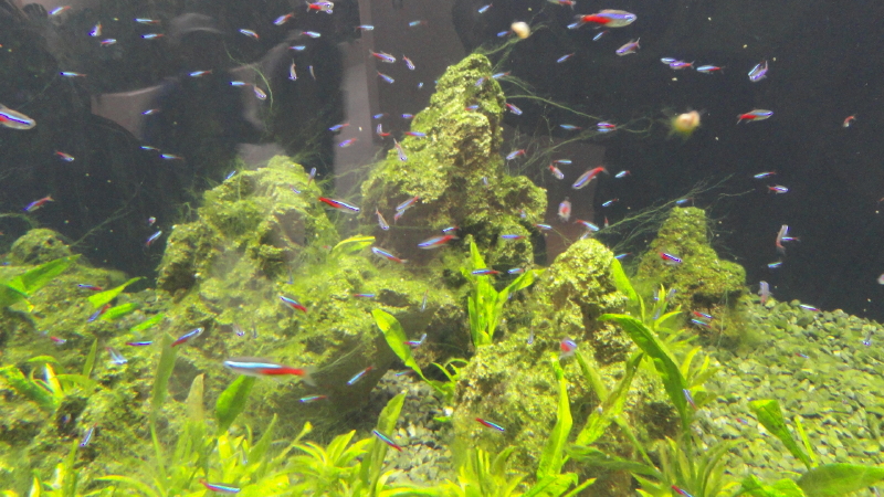 img0034.jpg