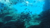 img0003.jpg