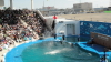 img0023.jpg