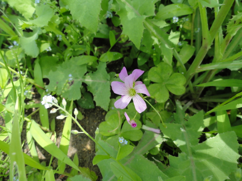 img0014.jpg