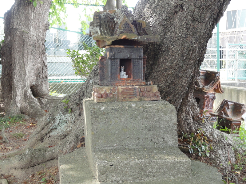 img0019.jpg