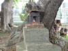 img0019.jpg