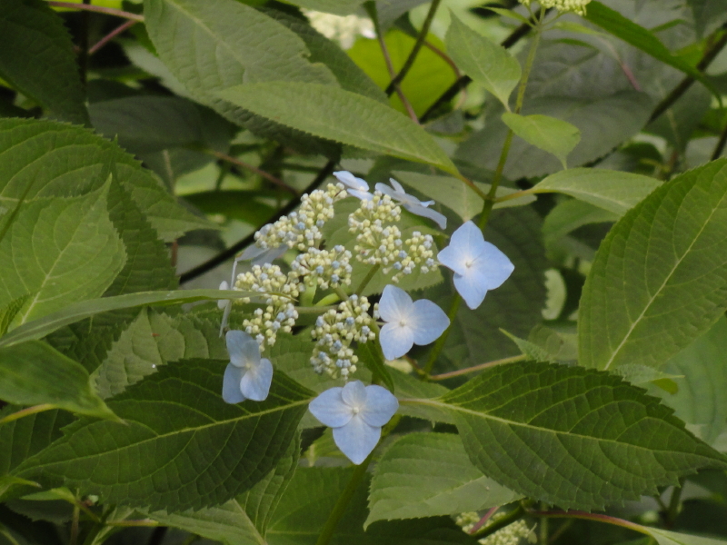 img0033.jpg