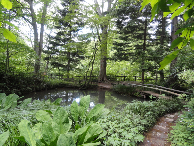img0040.jpg