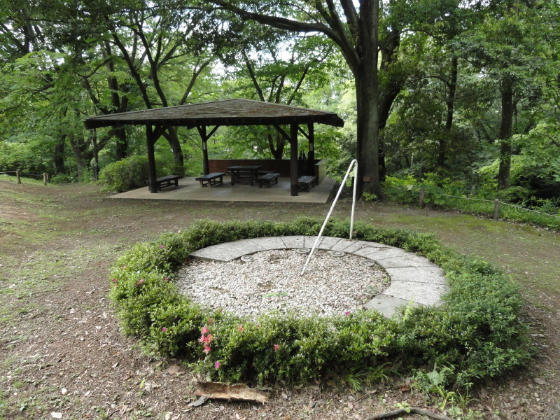 img0048.jpg