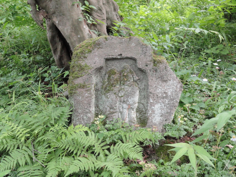 img0084.jpg