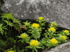 img0015.jpg