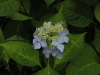 img0019.jpg